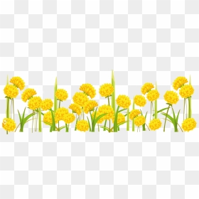 Dandelion Clipart Transparent Background - Yellow Flowers Background Clipart, HD Png Download - yellow flower png