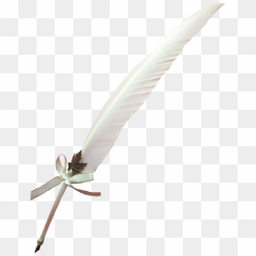#quill #writing #feather #white #pngs #png #cute #trendy - Dragonfly, Transparent Png - quill png