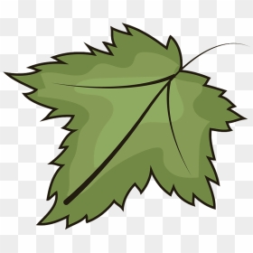 Leaf Clipart - Illustration, HD Png Download - leaf clipart png