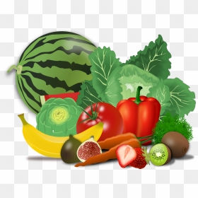 Fruits And Vegetables Drawing, HD Png Download - fruits and vegetables png