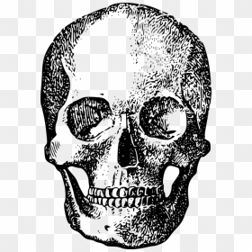 Black Skull Ftestickers - Dead Words High School, HD Png Download - black skull png