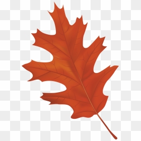Brown Autumn Leaf Png Clipart Image - Autumn Leaf Png Clipart, Transparent Png - leaf clipart png