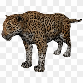 Jaguar - Green Hell Puma, HD Png Download - jaguar png