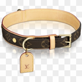 French Bulldog Louis Vuitton Dog Collar, HD Png Download - dog collar png