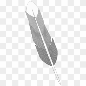 Drawing Of Grey Feather - Grayscale Feather, HD Png Download - quill png