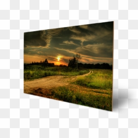 Transparent Forest Trees Png - Sunset Country Road Pictures Free, Png Download - forest trees png