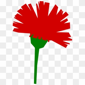 Carnation - International Workers Day Png, Transparent Png - carnation png