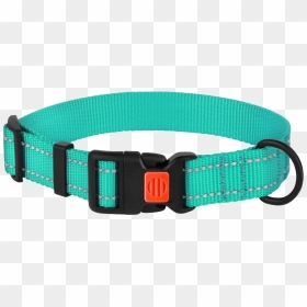 Dog Collar Png - Reflective Dog Collars, Transparent Png - dog collar png