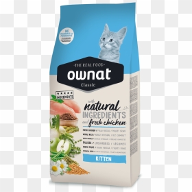 Pienso Natural Gatos Esterilizados, HD Png Download - kittens png