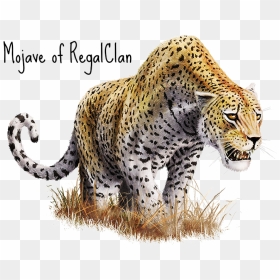 Leopard Transparent Wild Animal - Transparent Background Leopard Png, Png Download - jaguar png