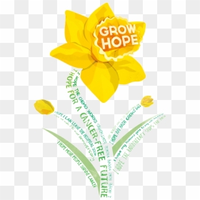 American Cancer Society Daffodil Days 2018, HD Png Download - daffodil png