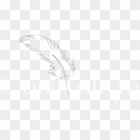 Carnivalista Logo - Line Art, HD Png Download - fishnet png