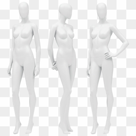 And Bust Form Hire - Mannequin, HD Png Download - mannequin png