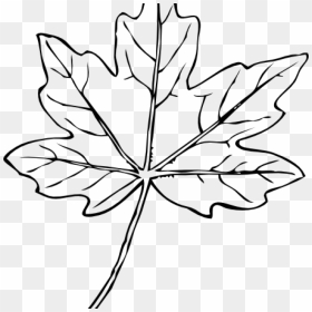 Maple Leaf Clipart Maple Leaf Clip Art At Clker Vector - Grape Leave Clipart Black And White, HD Png Download - leaf clipart png
