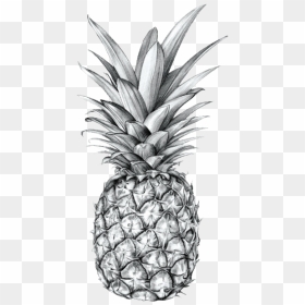 #tumblr #blackandwhite #pineapple #fruit #aesthetic - Pineapple Drawing, HD Png Download - pinapple png