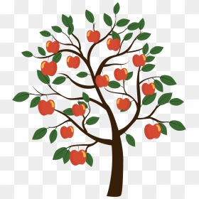 Fruit Tree Euclidean Vector - Diagram Of Apple Tree, HD Png Download - apple tree png
