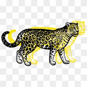 Clouded Leopard , Png Download - Leopard Transparent, Png Download - jaguar png