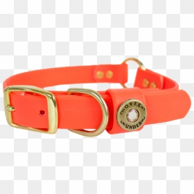 Huntsman Safety Collar Blaze Orange - Guard Dog, HD Png Download - dog collar png