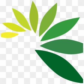 Leaf Logo Png - Leaf Logo Hd Png, Transparent Png - green leaf png