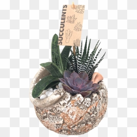 Flowerpot, HD Png Download - succulents png
