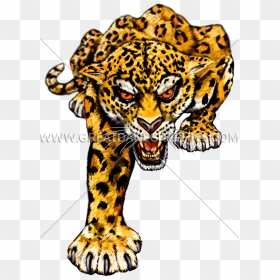 Gambar Stiker Macan, HD Png Download - jaguar png