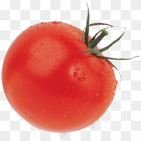 Tomato Png - Помидор Png, Transparent Png - fruits and vegetables png