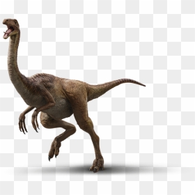 Gallimimus - Jurassic World Evolution Dinosaurs Png, Transparent Png - jurassic park png