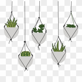 Succulents, HD Png Download - succulents png