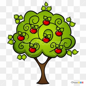 How To Draw Apple Tree, Trees - Draw A Apple Tree, HD Png Download - apple tree png