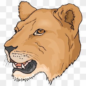 S - - Pictures V - 2 - 0 Png - - Head Female Lion Logo, Transparent Png - cubs png