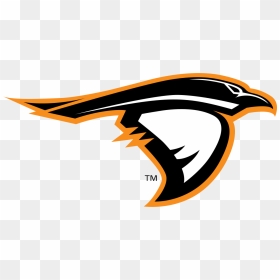 Anderson Ravens Logo , Png Download - Anderson University Ravens Logo, Transparent Png - ravens logo png