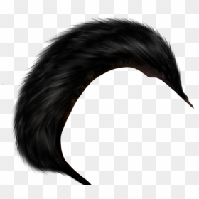 Photoshop Hair Png - Best Background For Photo Editing, Transparent Png - black hair png
