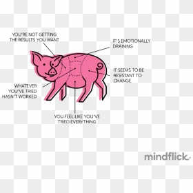 Pig Wrestling - You Wrestle With A Pig, HD Png Download - wrestling png