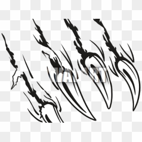 Transparent Claw Scratch Png - Transparent Background Claw Marks Png ...