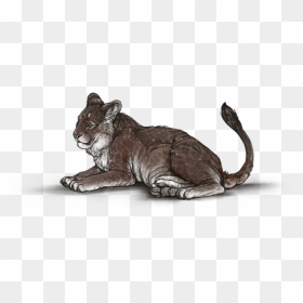 03jumcz - Domestic Short-haired Cat, HD Png Download - cubs png