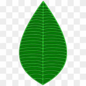 Green Leaf Svg Clip Arts - Illustration, HD Png Download - green leaf png