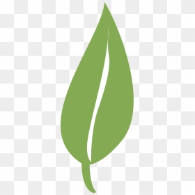 Single Green Leaf Png - Single Leaf Png Clipart, Transparent Png - green leaf png