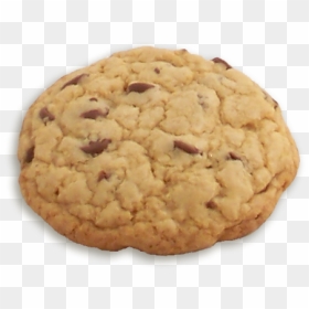 Chocolate Chip Cookie - Pignolo, HD Png Download - chocolate chip cookie png