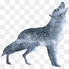 Wolf With No Background, HD Png Download - wolf howling png