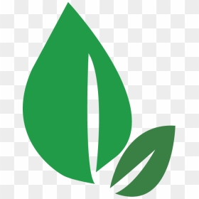 Green Leaf Clipart Png, Transparent Png - green leaf png
