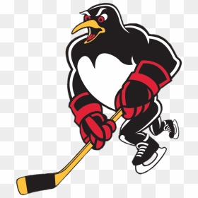 Wilkes Barre Scranton Mascotte - Wbs Penguins, HD Png Download - hockey stick png