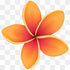 Orange Tropical Flower Png Clip Art Image , Png Download, Transparent Png - tropical flower png