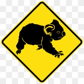 Adelaide And Hills Koala Rescue, HD Png Download - claw mark png