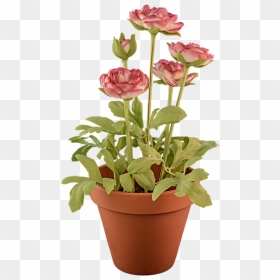 Transparent Background Potted Plants Clipart, HD Png Download - flower pot png
