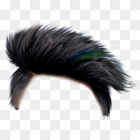 Hair Png Hd, Transparent Png - hairstyle png