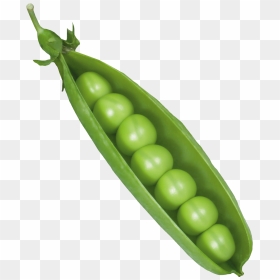 Pea Png Background - Transparent Background Peas Clipart, Png Download - vegetable png