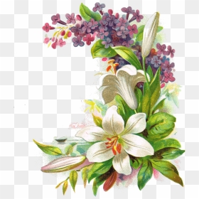Flower Png Layers, Png Download - Floral Design, Transparent Png - png divider
