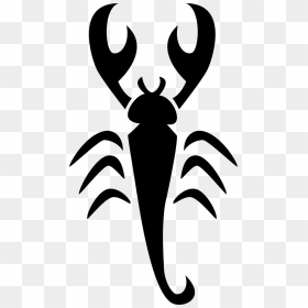 Scorpio - Escorpião Png Desenho, Transparent Png - claw mark png