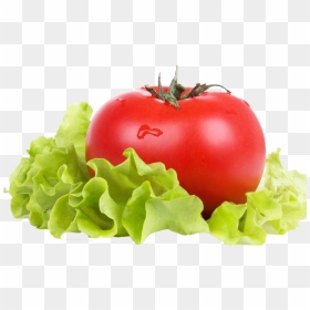 Vegetable Green Leaves Png Transparent Background - Tomato Lettuce, Png Download - vegetable png