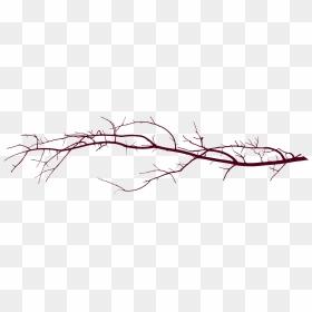 Branch Divider Png, Transparent Png - line divider png